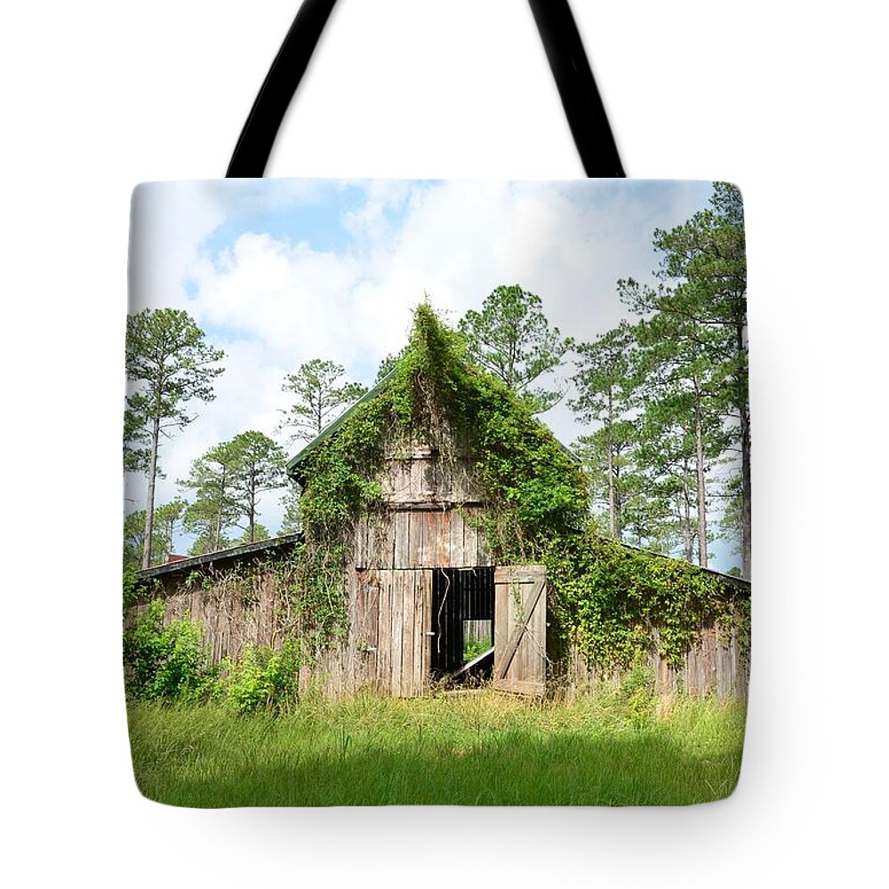 Green Tote Bag featuring the photograph Open Doors by Bob Sample