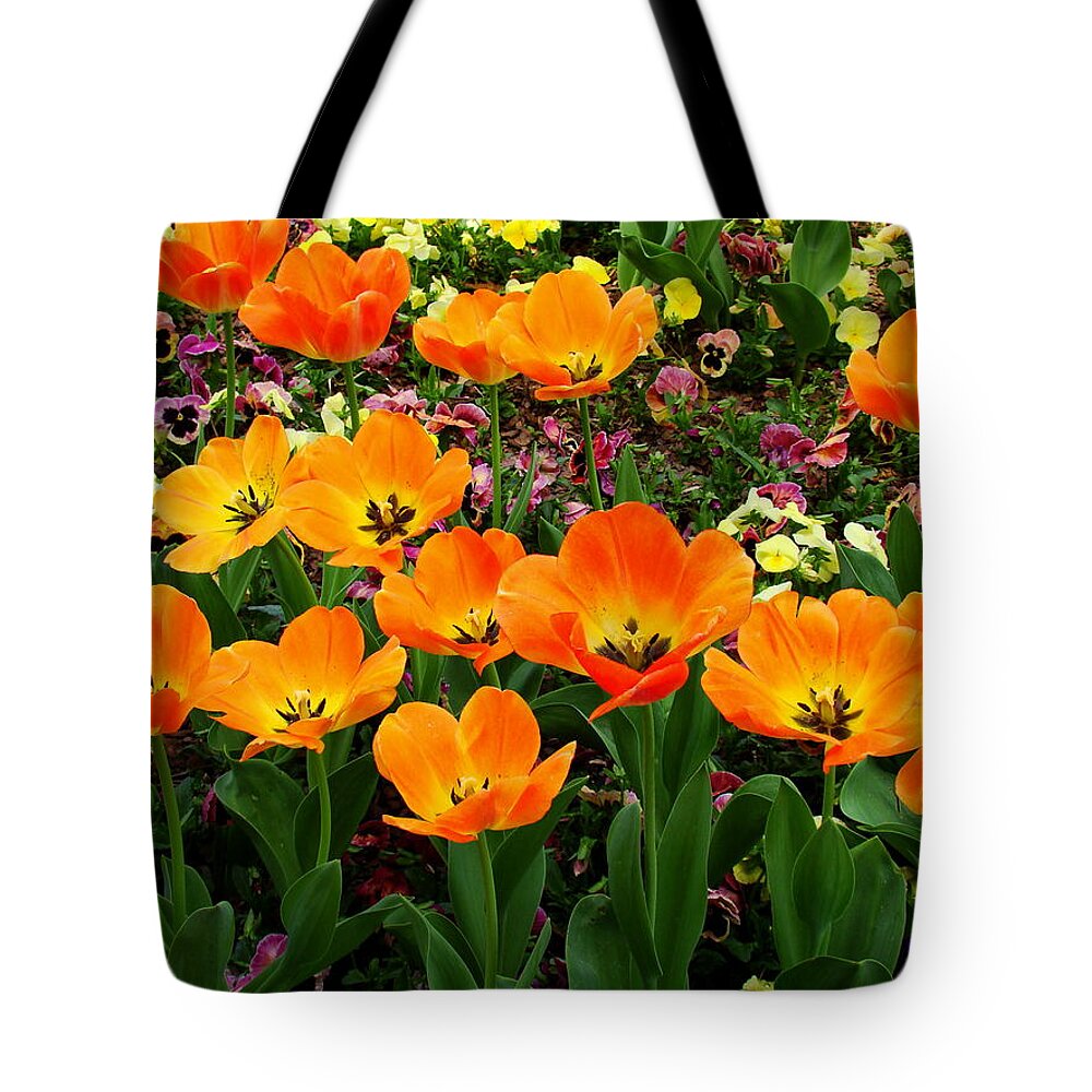 Fine Art Tote Bag featuring the photograph Open by Rodney Lee Williams