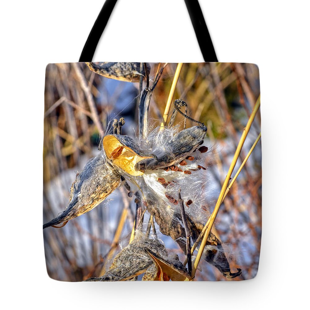 River Tote Bag featuring the photograph Open seed surgery by PatriZio M Busnel