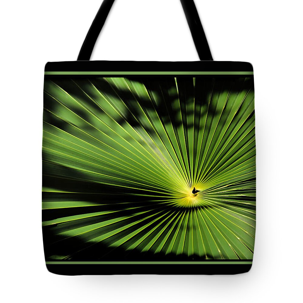Palmetto Fan Canvas Print Tote Bag featuring the photograph Optical Illusion by Lucy VanSwearingen