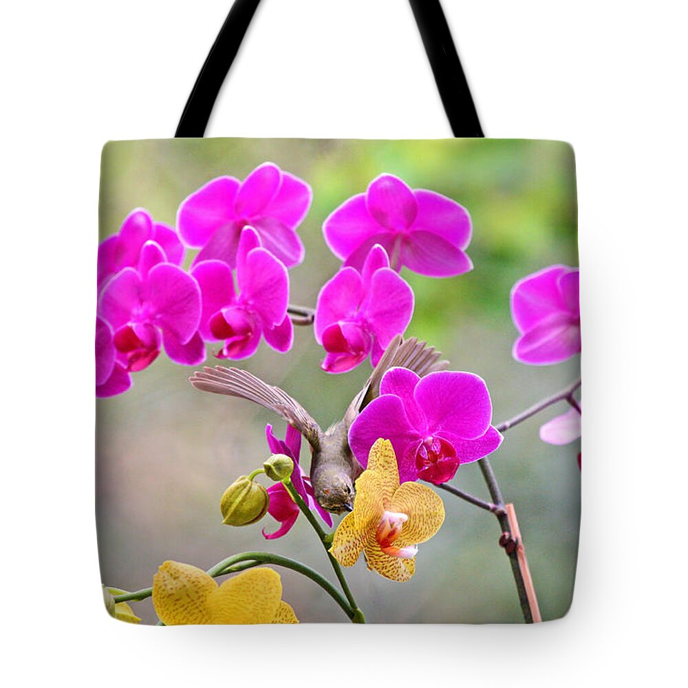 Orange Crown Warbler Tote Bag featuring the photograph Warbler on Orchards Photo by Luana K Perez