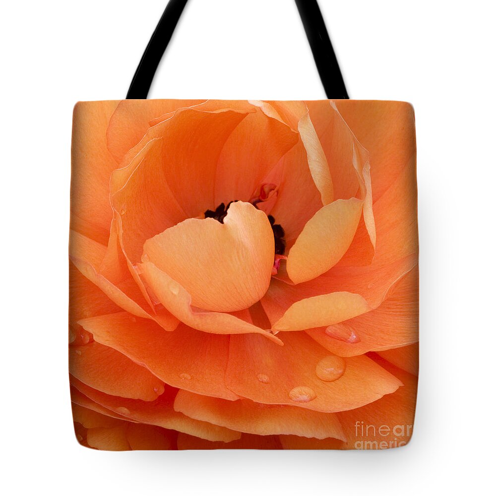 Persian Buttercup Tote Bag featuring the photograph Orange Delight by Patty Colabuono