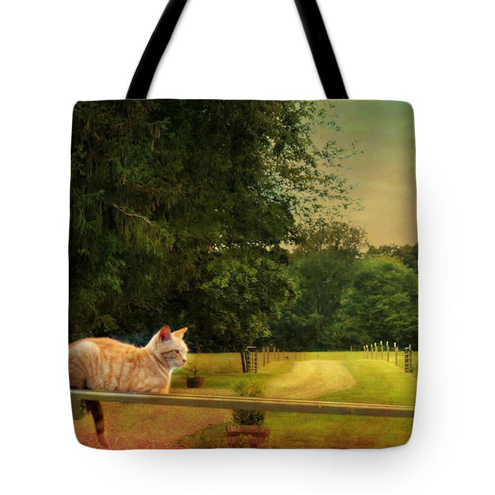 Cat Tote Bag featuring the photograph Orange Farm Cat by Beth Ferris Sale