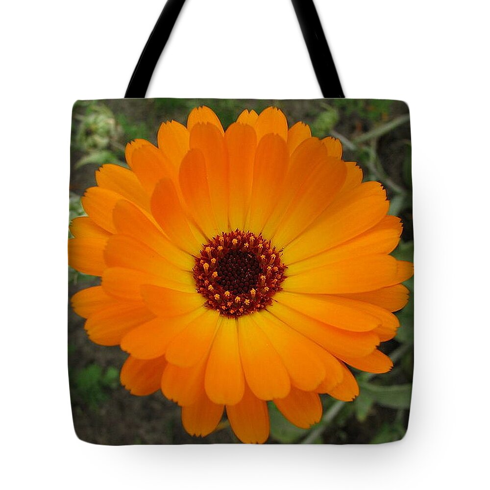 Flower Tote Bag featuring the photograph Orange Husbandman's Dial Marigold Flower by Taiche Acrylic Art