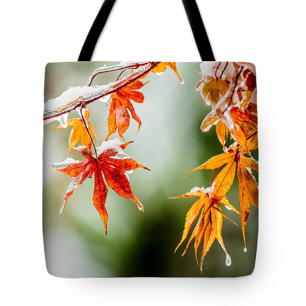 Ice Tote Bag featuring the photograph Orange Ice by James Barber
