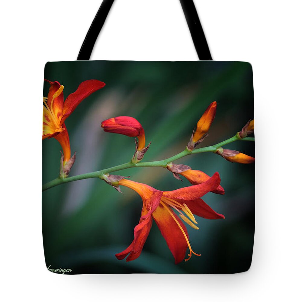 Lily Tote Bag featuring the photograph Orange Lily by Lucy VanSwearingen