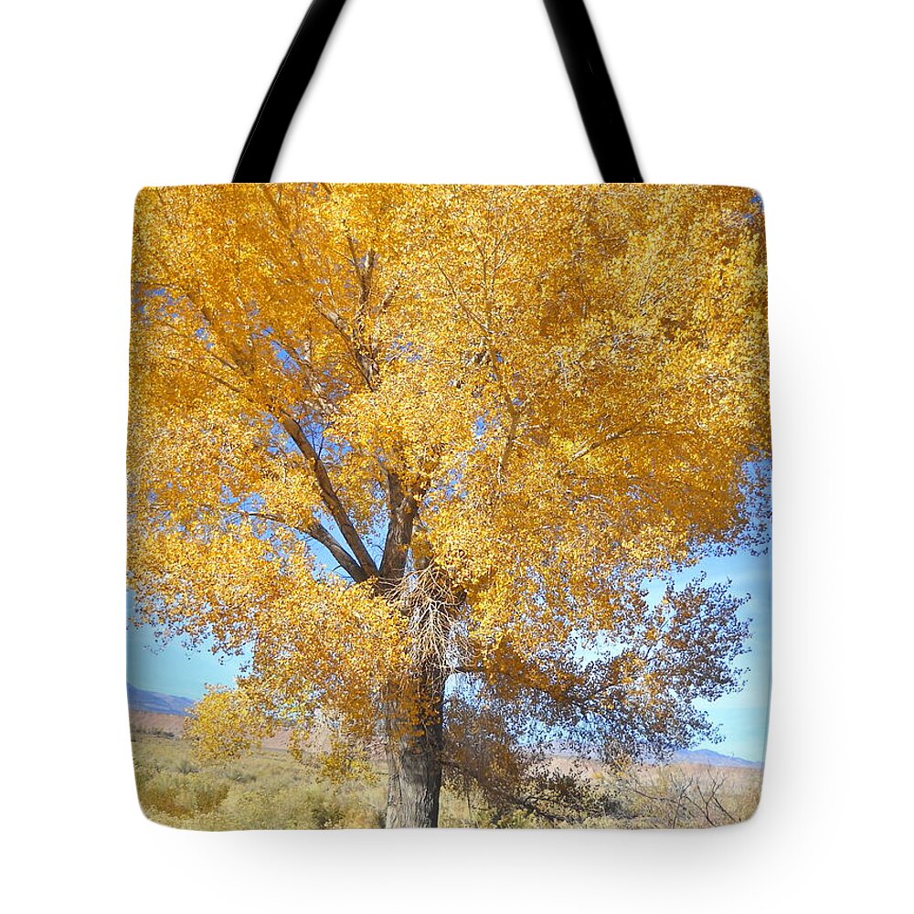 Fall Tote Bag featuring the photograph Orange Serenade by Marilyn Diaz