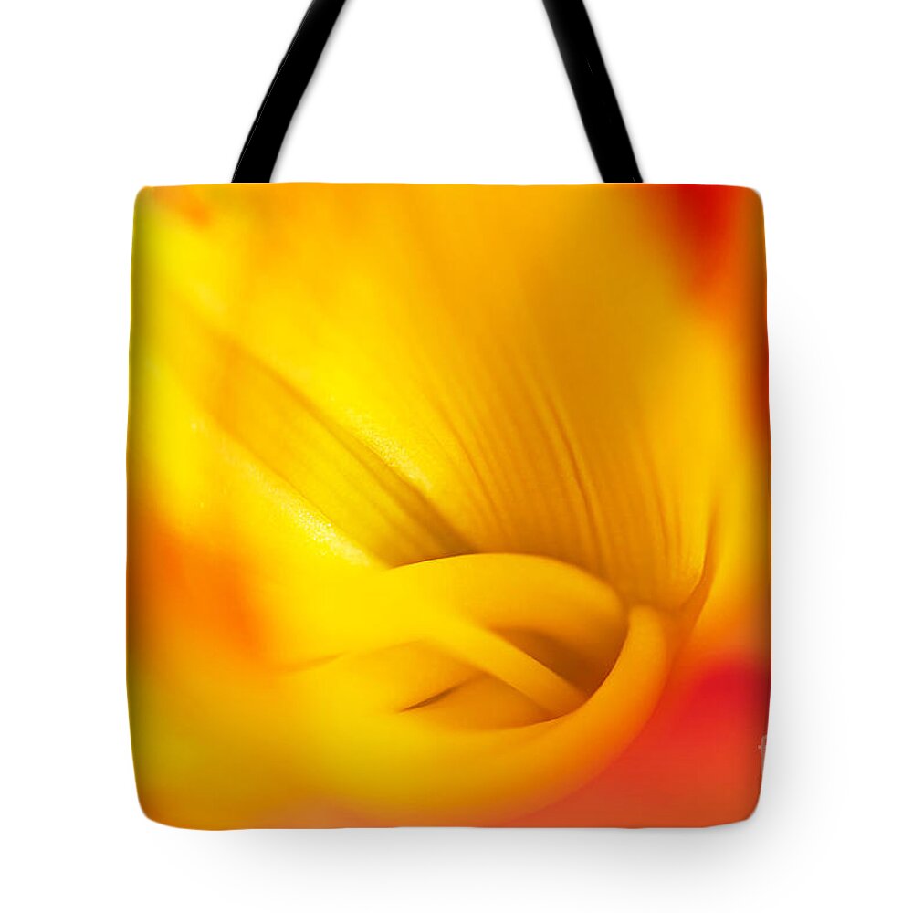 Tiger Lily Tote Bag featuring the photograph Orange Sherbet by Gwen Gibson
