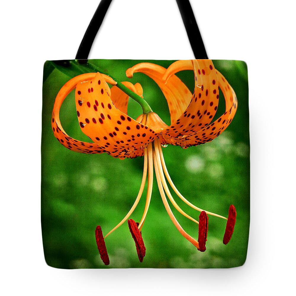 Orange Tiger Lily Tote Bag featuring the photograph Orange Tiger Lily by Carolyn Derstine