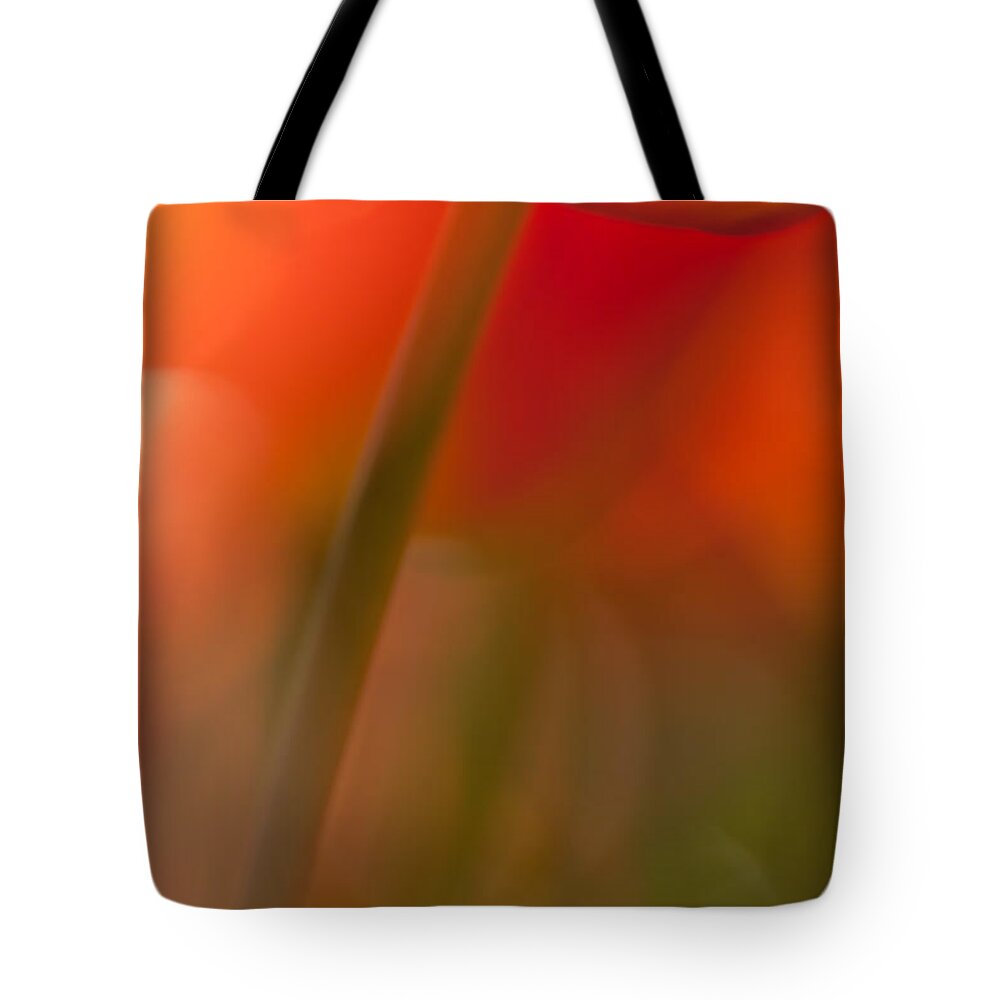 Tulips Tote Bag featuring the photograph Orange Tulip Abstract by Jani Freimann