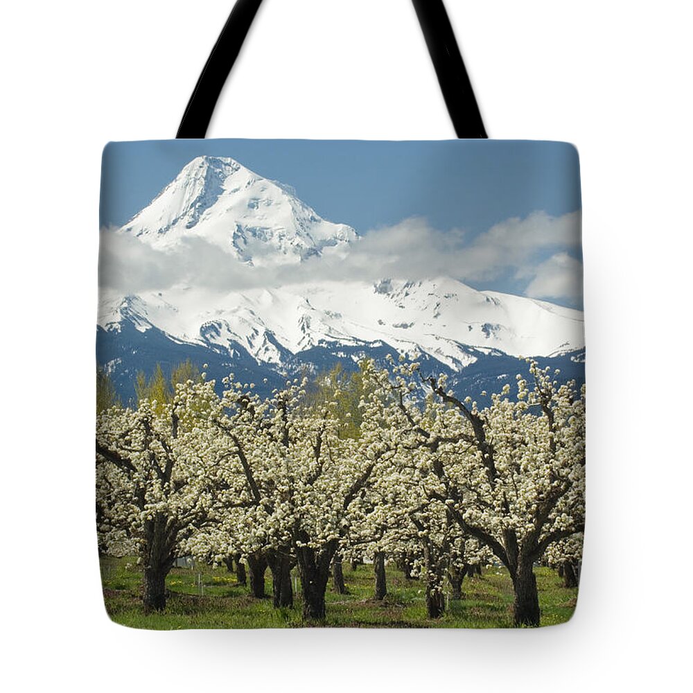 Orchard Tote Bag featuring the photograph Orchard And Mount Hood Oregon by John Shaw