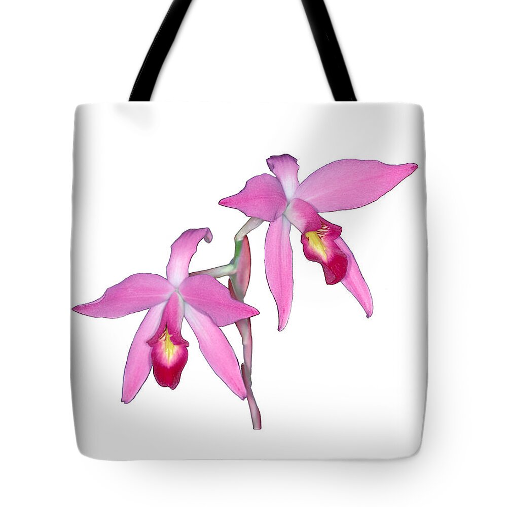 Flower Tote Bag featuring the photograph Orchid 1-1 by Andy Shomock