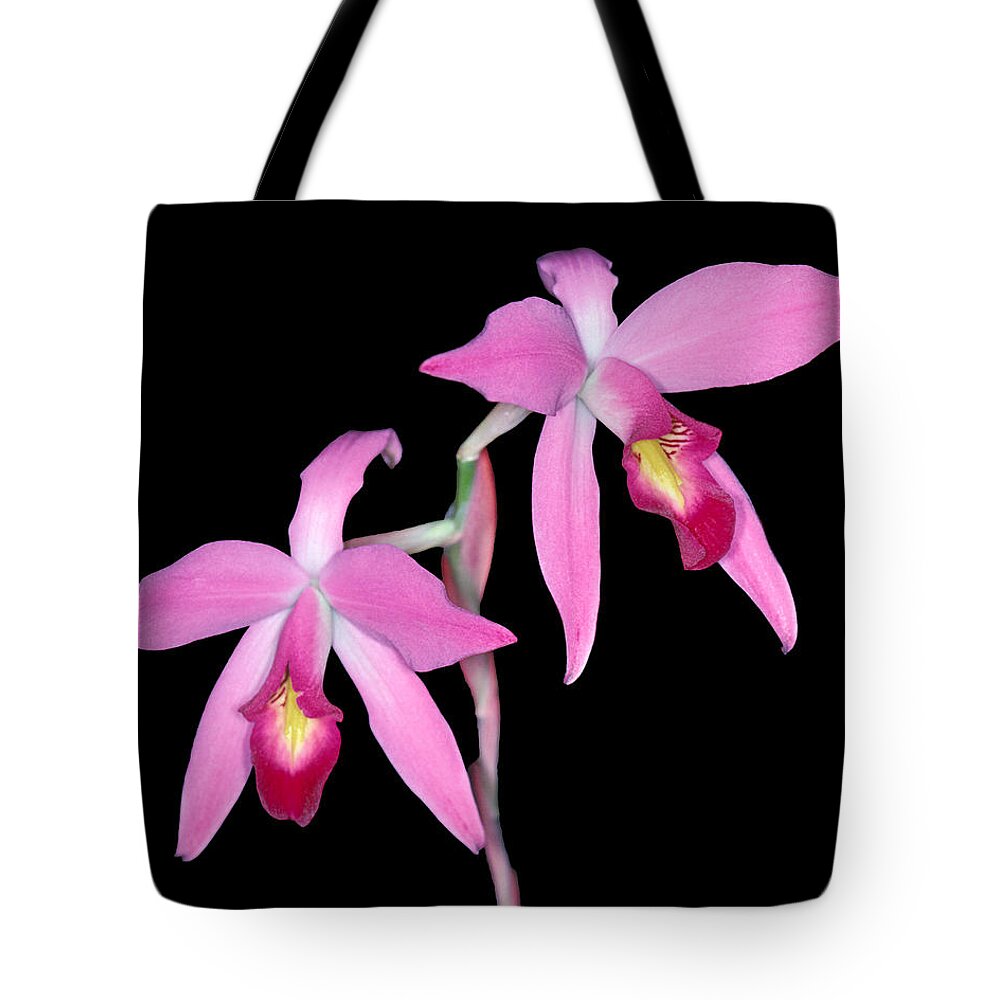 Flower Tote Bag featuring the photograph Orchid 1 by Andy Shomock