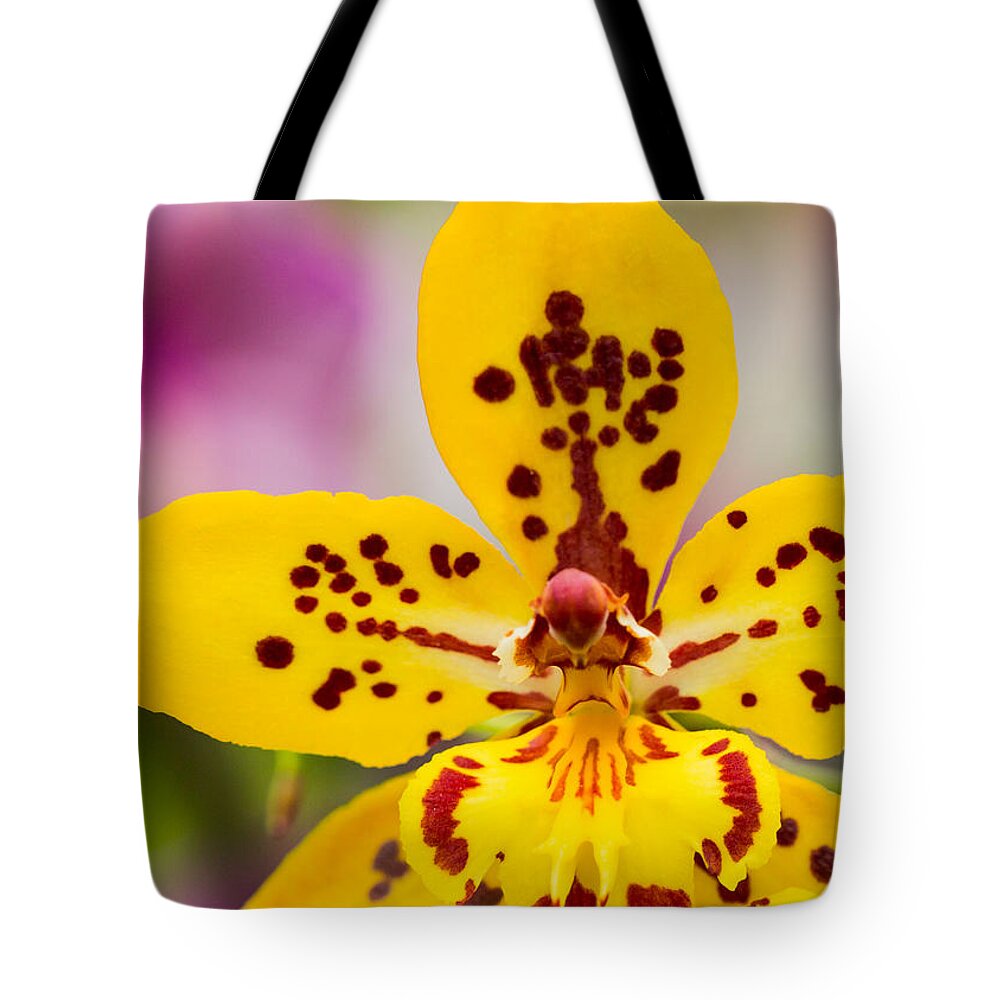 Orchid Tote Bag featuring the photograph Orchid 2 of 3 by Brad Marzolf Photography