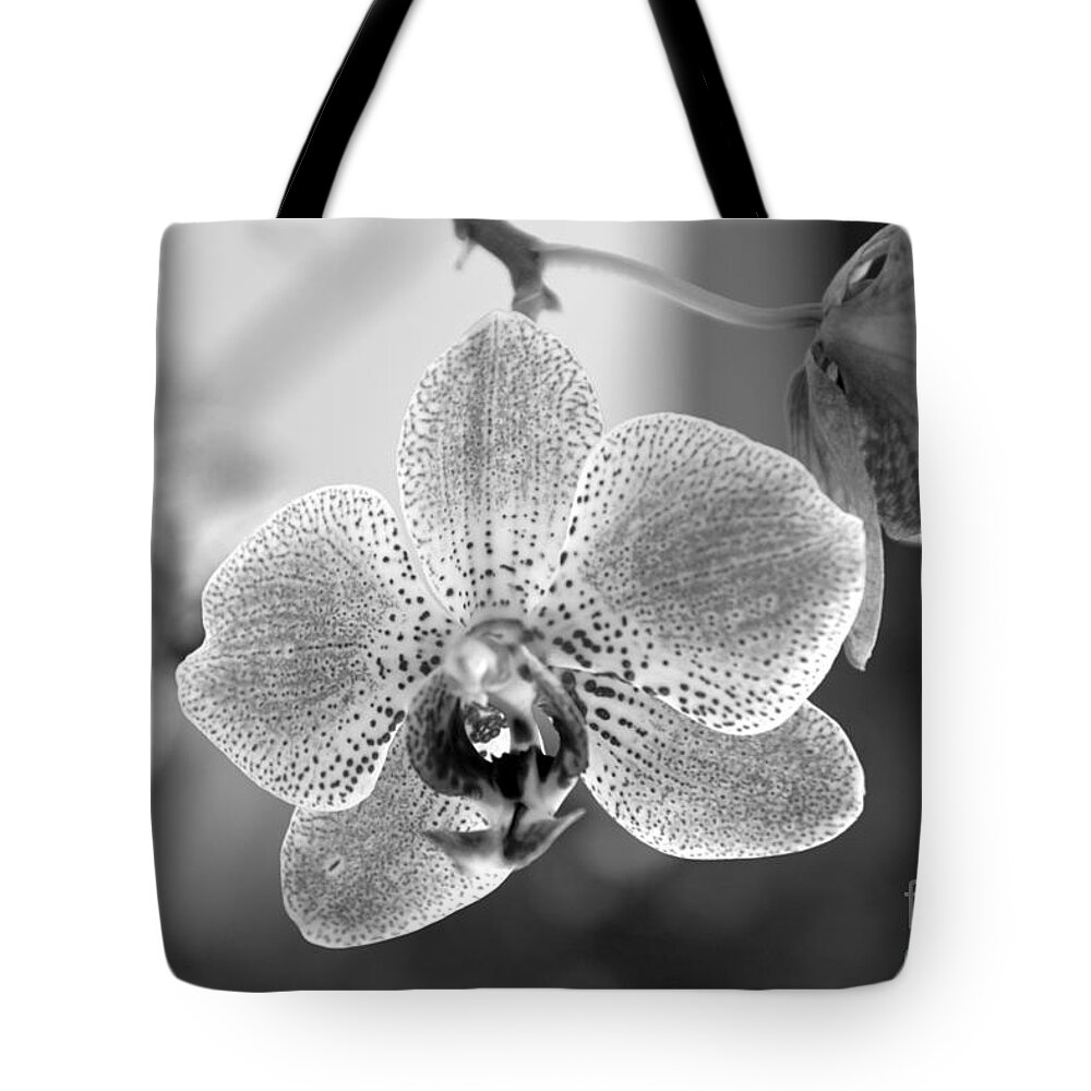 Phalaenopsis Tote Bag featuring the photograph Orchid black and white by Ramona Matei