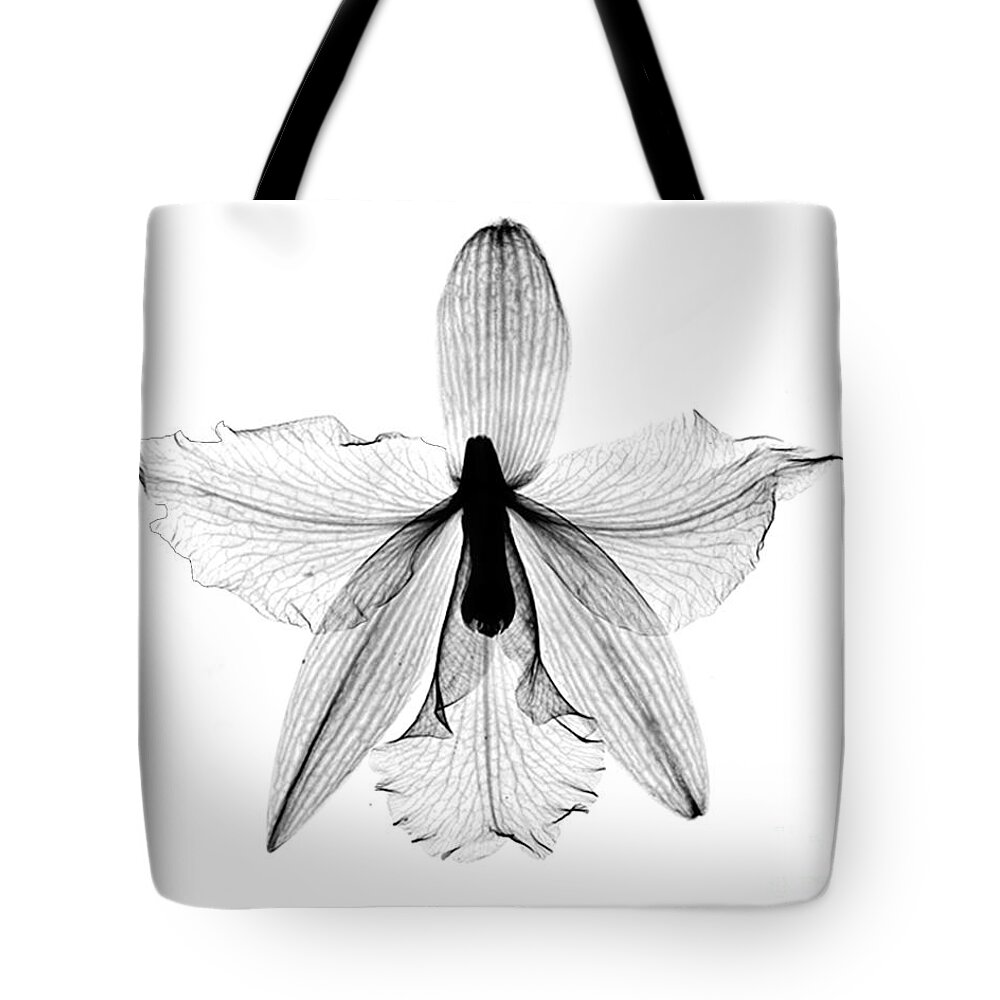 Nature Tote Bag featuring the photograph Orchid Flower X-ray by Bert Myers