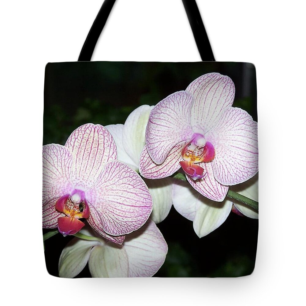 Orchid Tote Bag featuring the photograph Orchid by Holly Eads