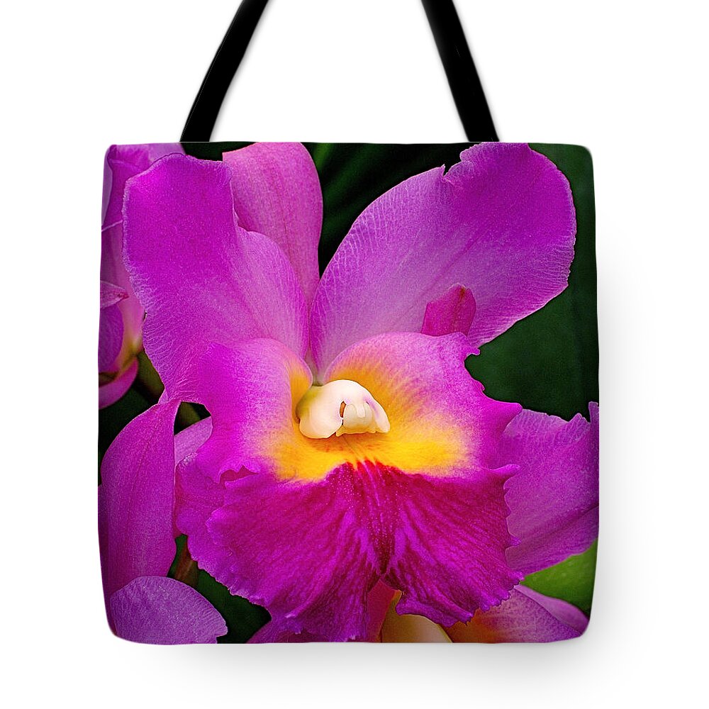 Orchid Tote Bag featuring the photograph Orchid Variations 1 by Rona Black