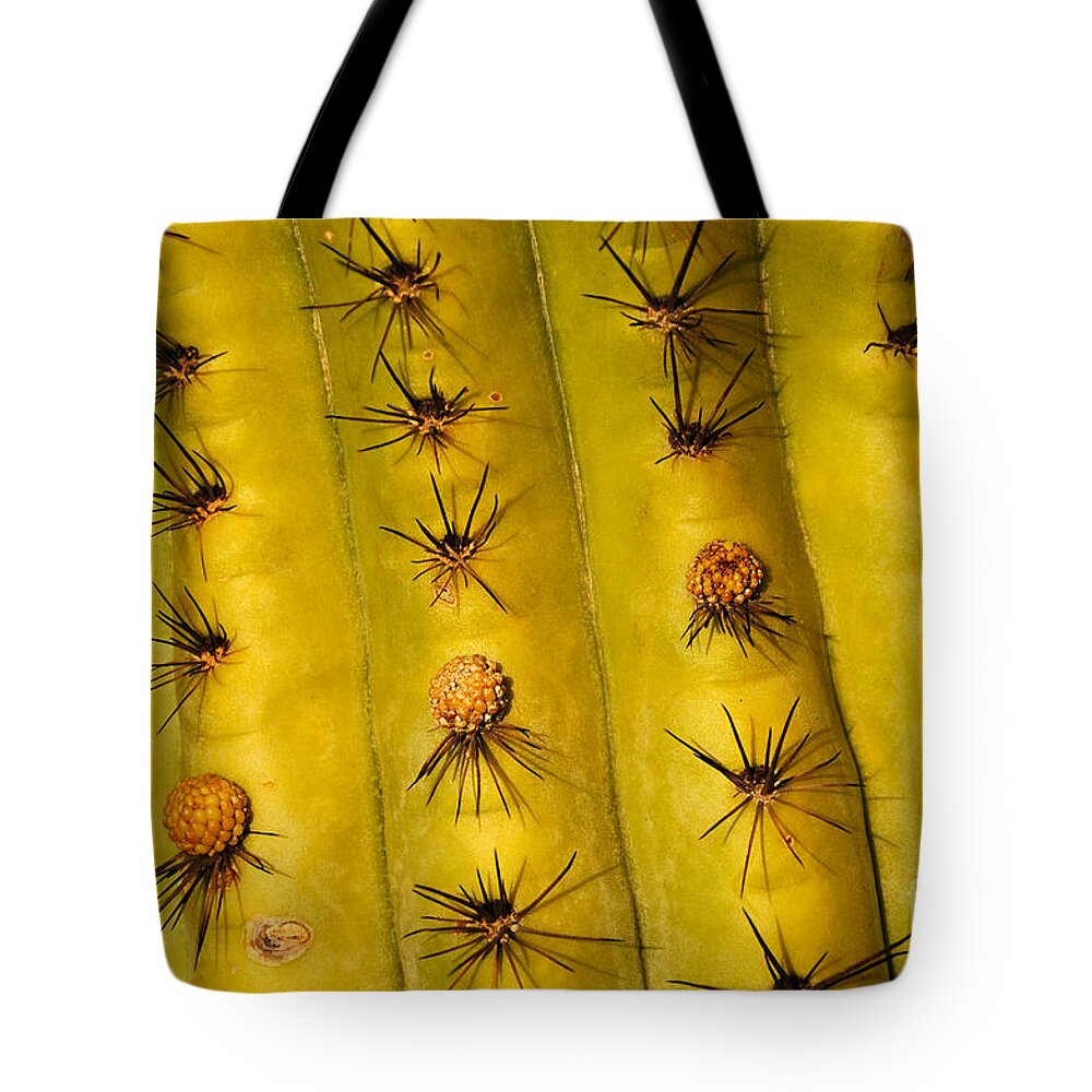 Organ Pipe Cactus Tote Bag featuring the photograph Organ Pipe Cactus Detail by Vivian Christopher