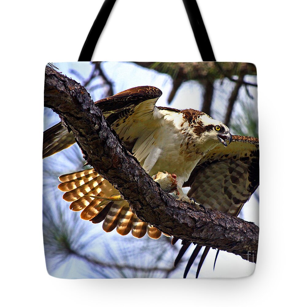 Osprey Tote Bag featuring the photograph Osprey Meal Protection by Larry Nieland