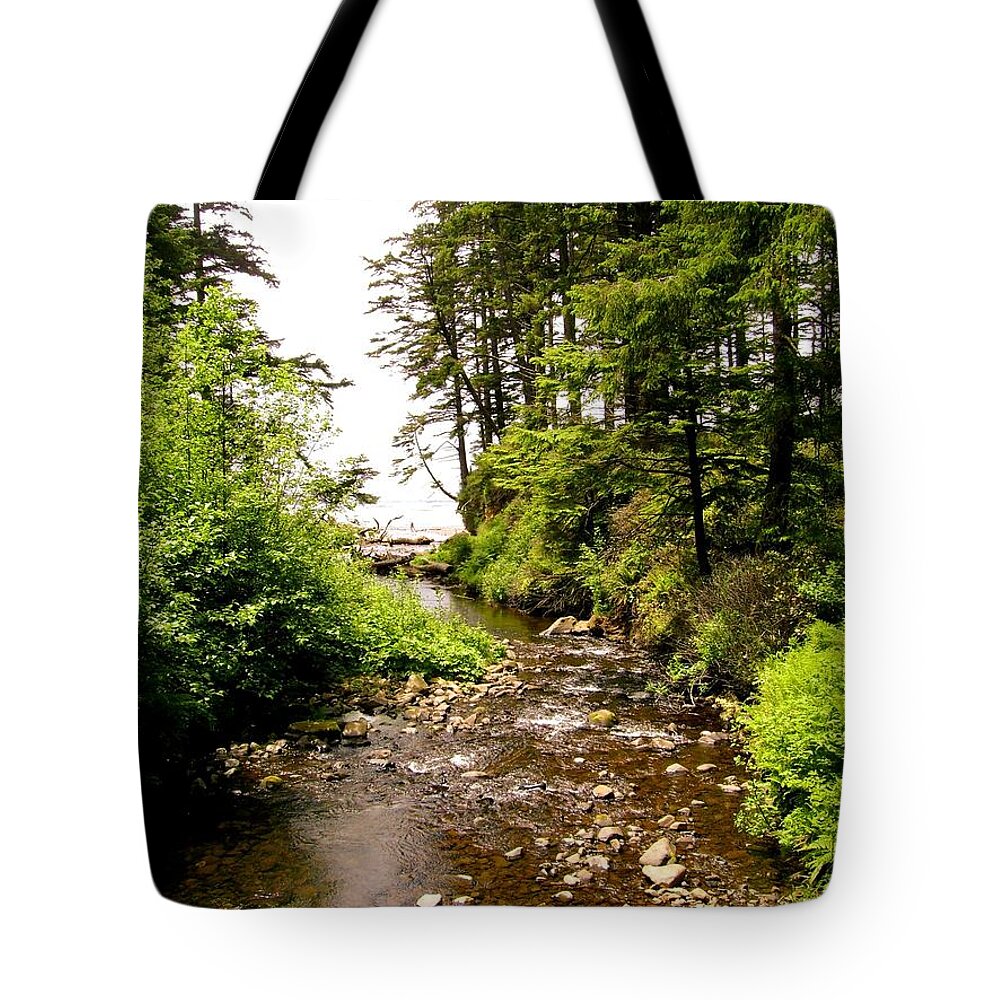 Oswald West State Park Tote Bag featuring the photograph Oswald West 1 by Laureen Murtha Menzl