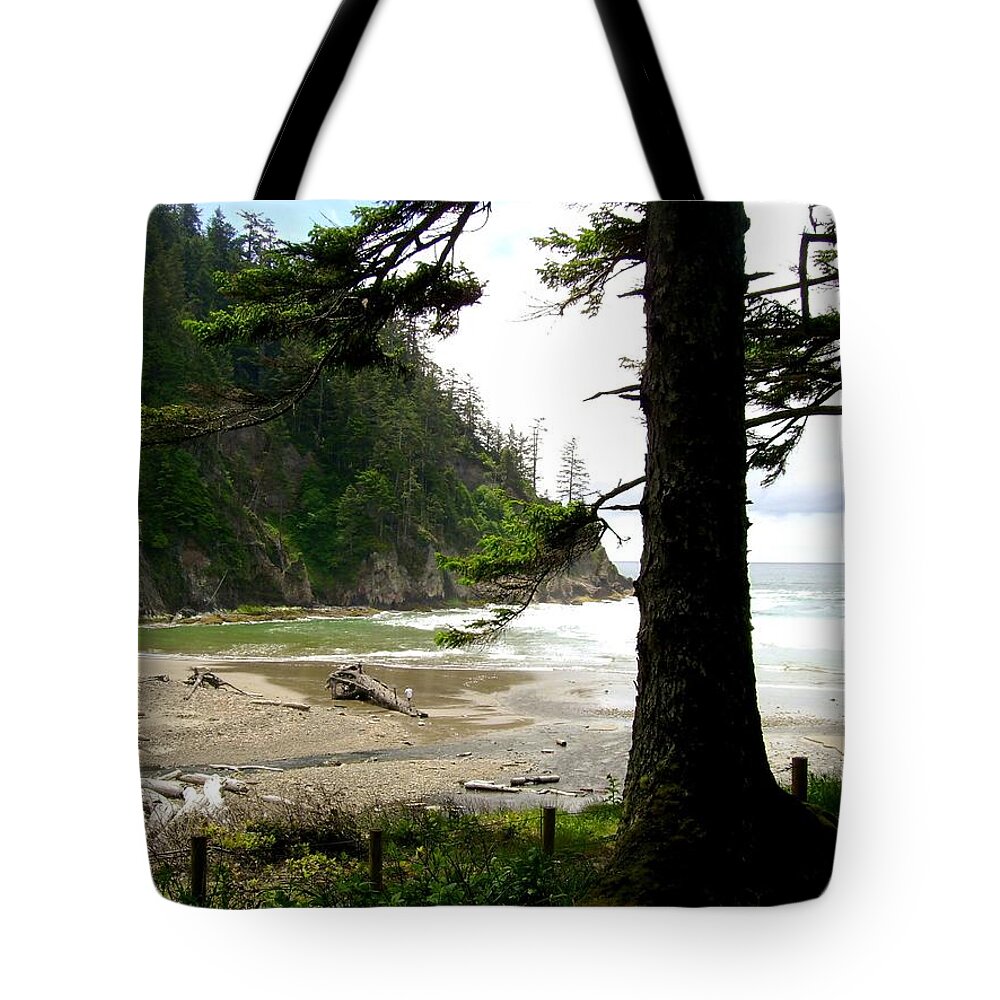 Old Growth Tote Bag featuring the photograph Oswald West 2 by Laureen Murtha Menzl