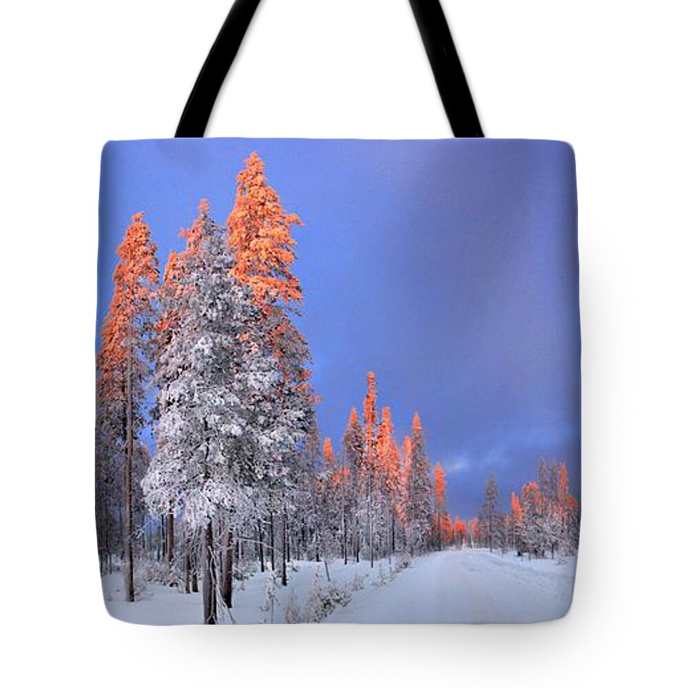 Sunset Tote Bag featuring the photograph Other Side of a Winter Sunset by David Andersen