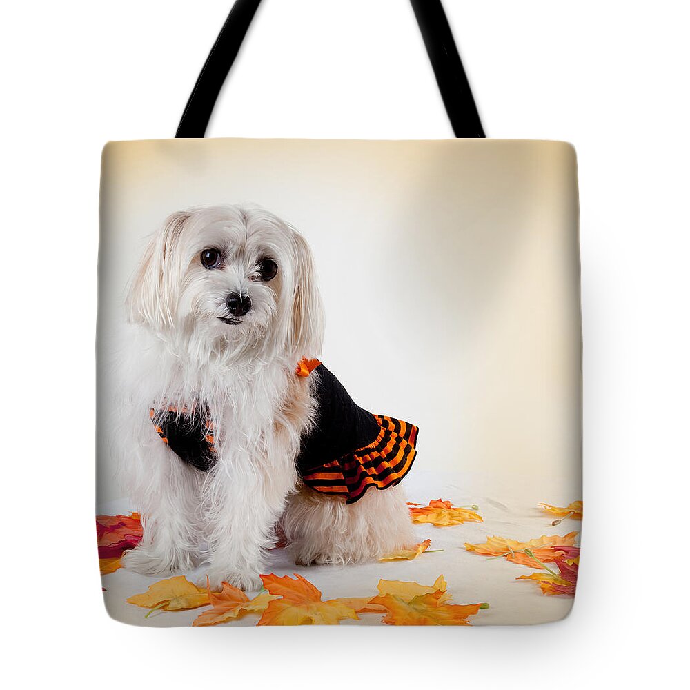 Our Best Friend Tote Bag featuring the photograph Our Best Friend by Michelle Constantine
