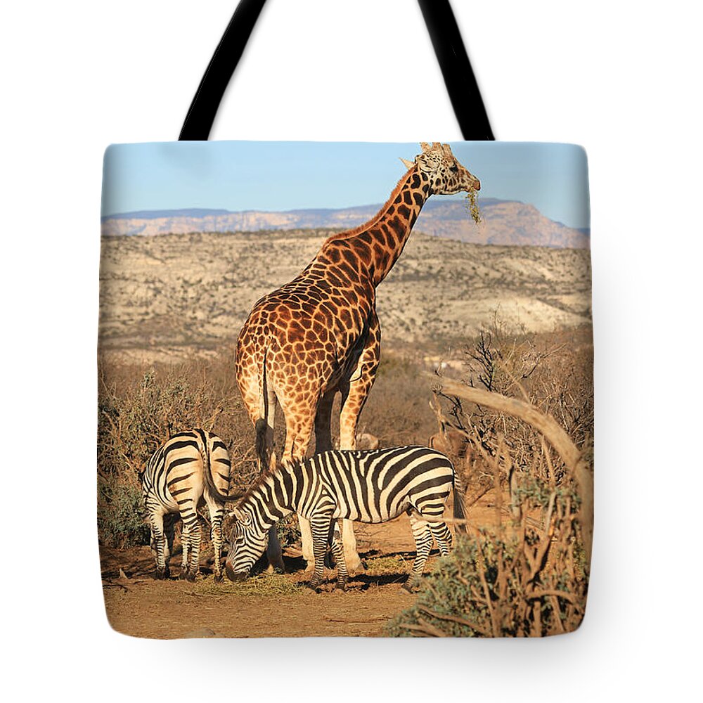 Giraffe Tote Bag featuring the photograph Out Of Africa by Donna Kennedy