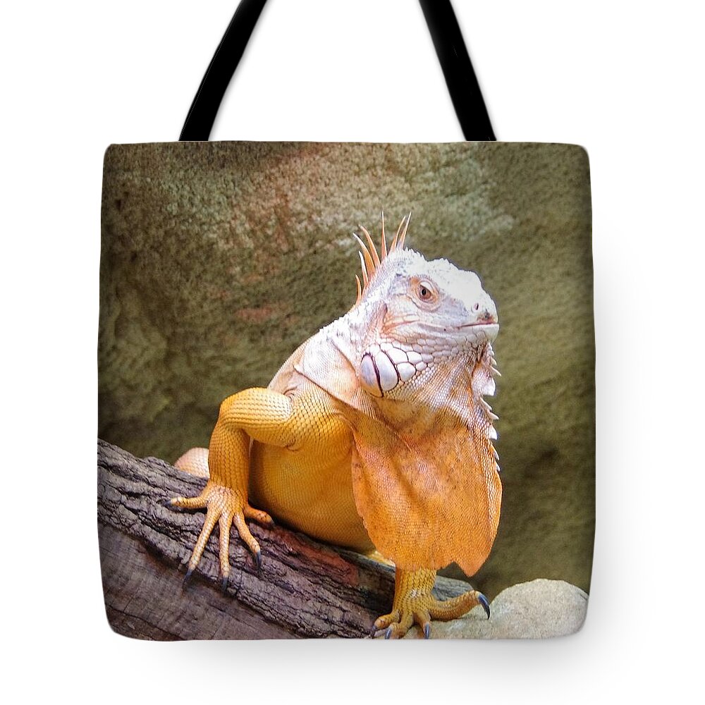 Iguana Tote Bag featuring the photograph Out of Africa Orange Lizard 1 by Phyllis Spoor