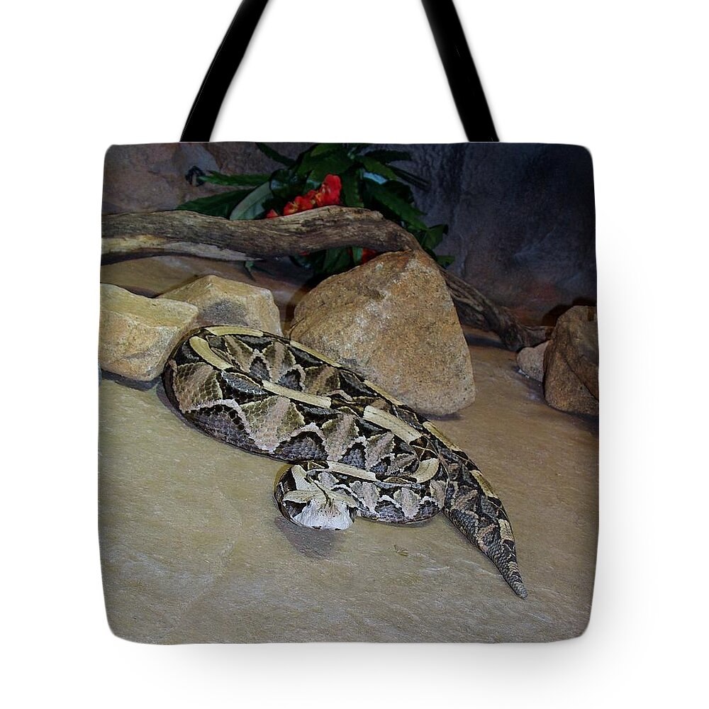 Out Of Africa Tote Bag featuring the photograph Out of Africa Viper 2 by Phyllis Spoor
