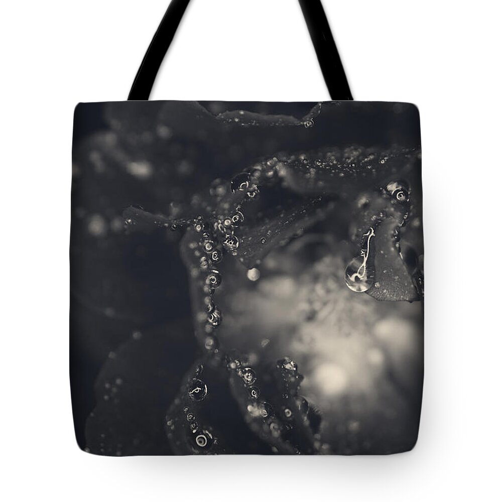 Roses Tote Bag featuring the photograph Out of My Head Over You by Laurie Search