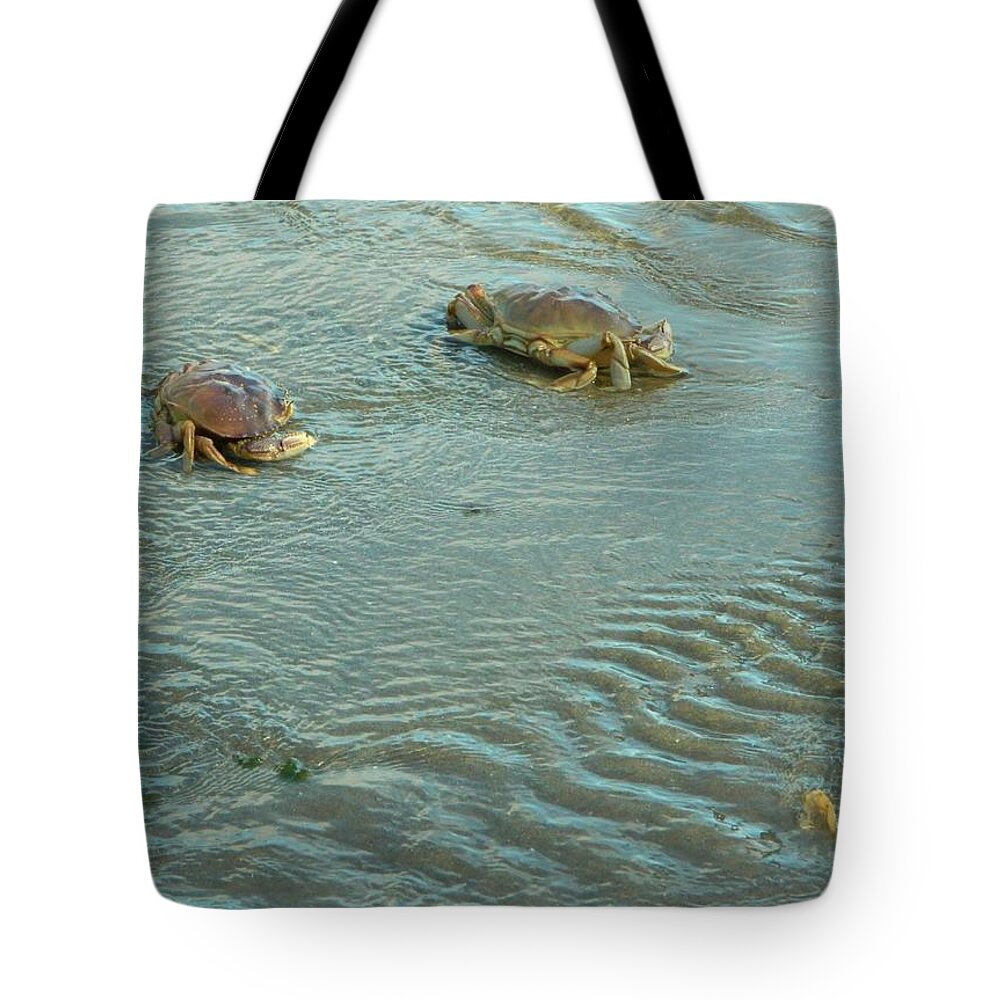 Coast Tote Bag featuring the photograph Out of the sand by Gallery Of Hope 