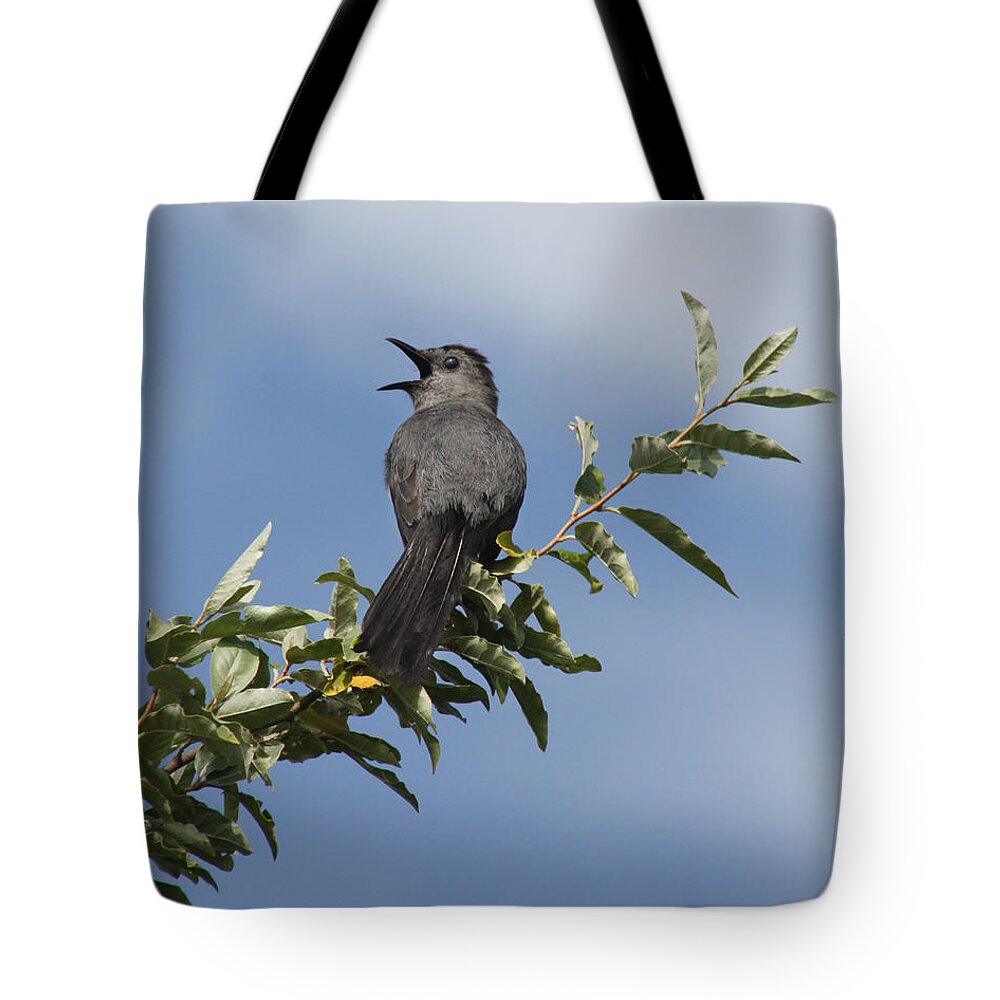 Christian Tote Bag featuring the photograph Out on a Limb by Anita Oakley