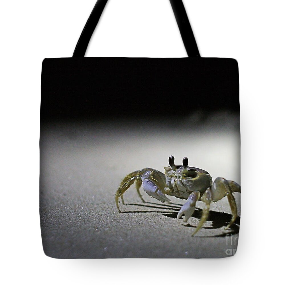 Crab Tote Bag featuring the photograph Outer Banks Crab by Stan Reckard