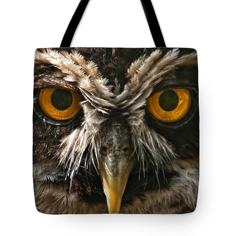 Marwell Tote Bag featuring the photograph Owl by Chris Boulton