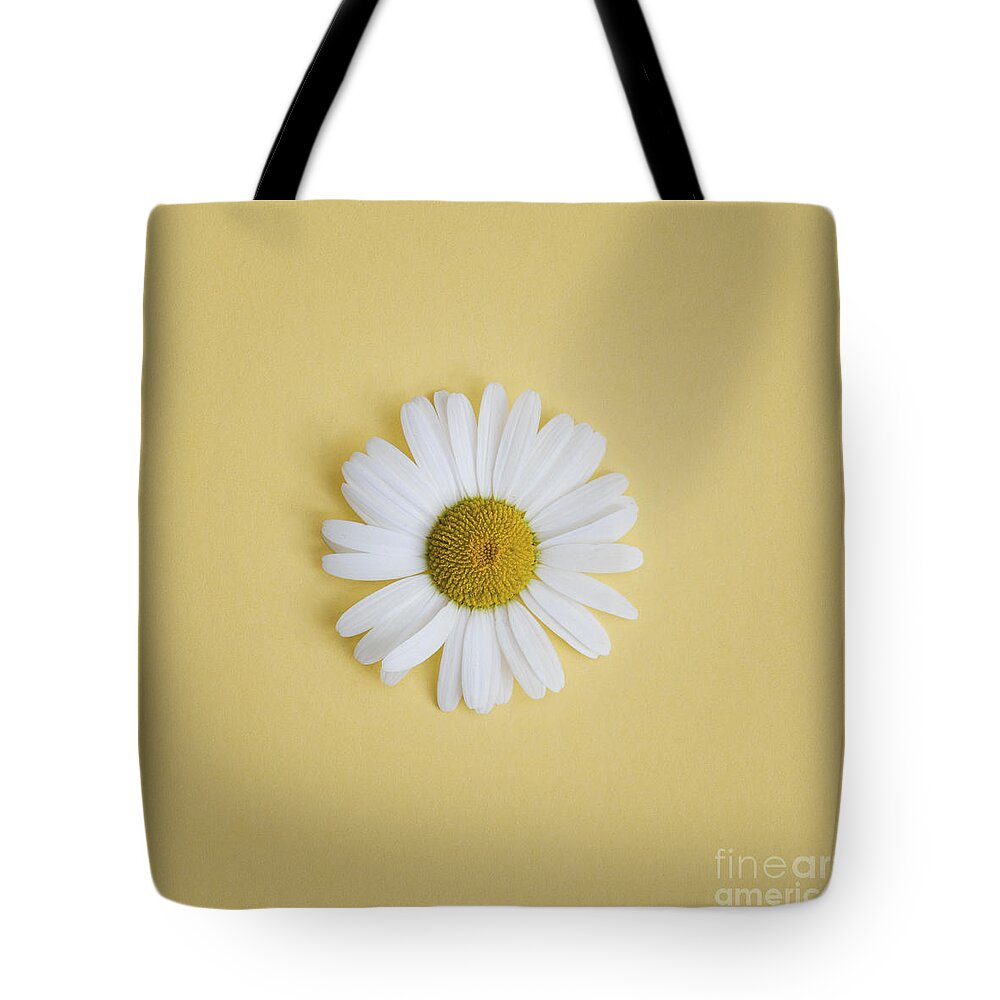 Oxeye Daisy Tote Bag featuring the photograph Oxeye Daisy Square Yellow by Tim Gainey