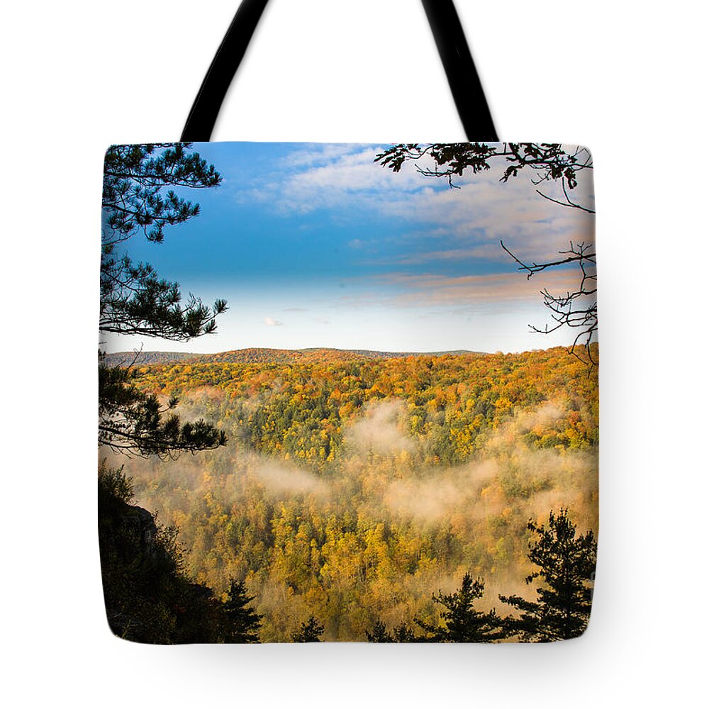 Pennsylvania Grand Canyon Tote Bag featuring the photograph PA Grand Canyon by Ronald Lutz