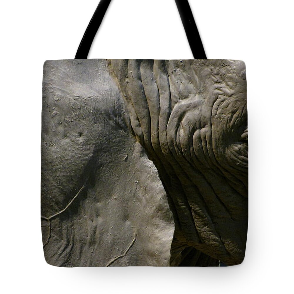 Elephant Tote Bag featuring the photograph Pachyderm by Jennifer Wheatley Wolf