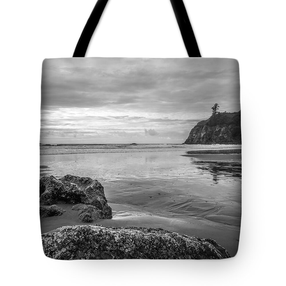 Olympic National Park Tote Bag featuring the photograph Pacific Coast by Kristopher Schoenleber