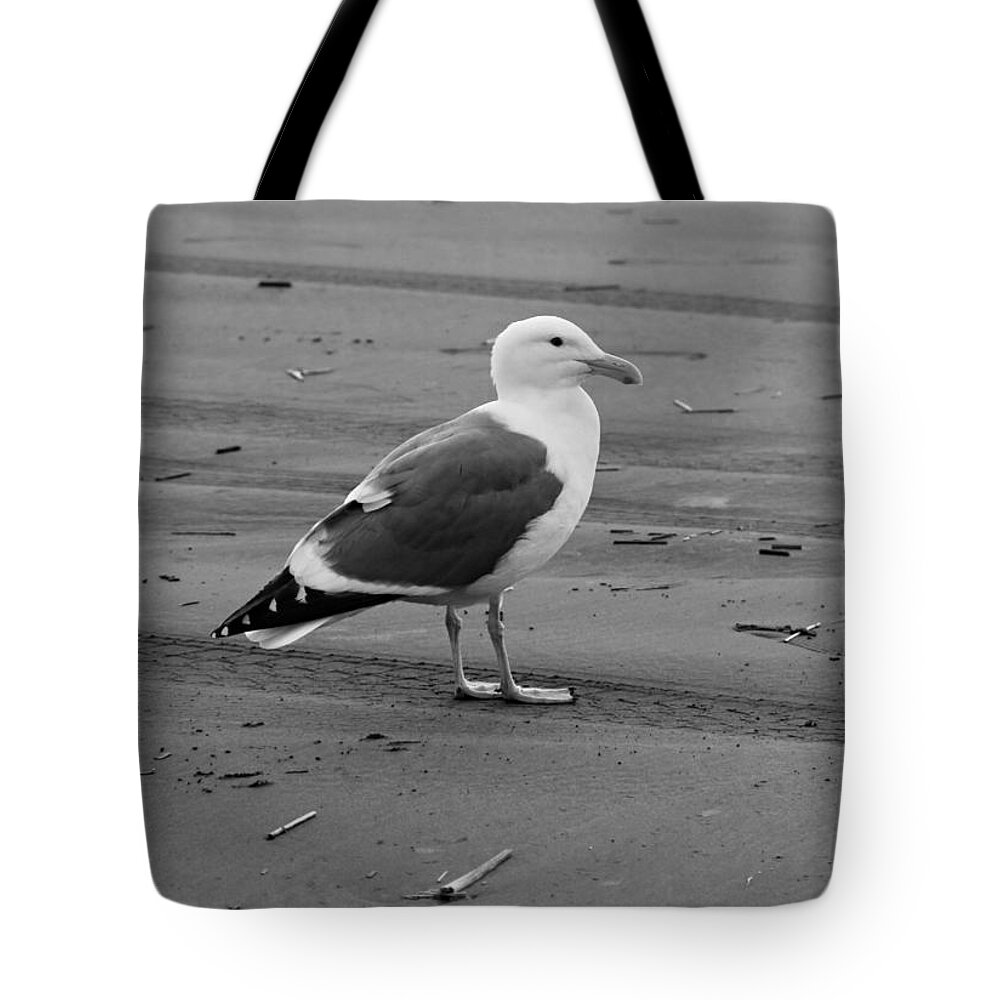 Ocean Tote Bag featuring the photograph Pacific Seagull In Black and White by Jeanette C Landstrom