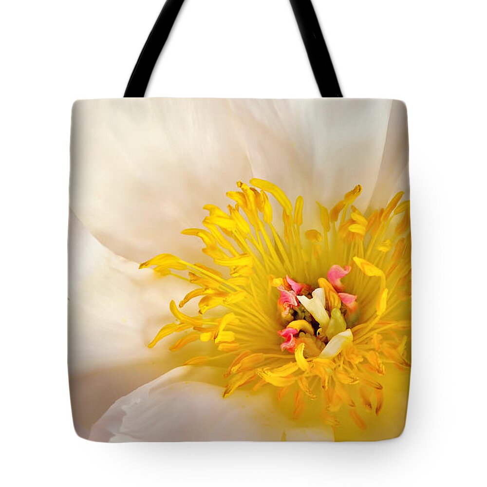 Peony Tote Bag featuring the photograph Paeonia by Carol Eade