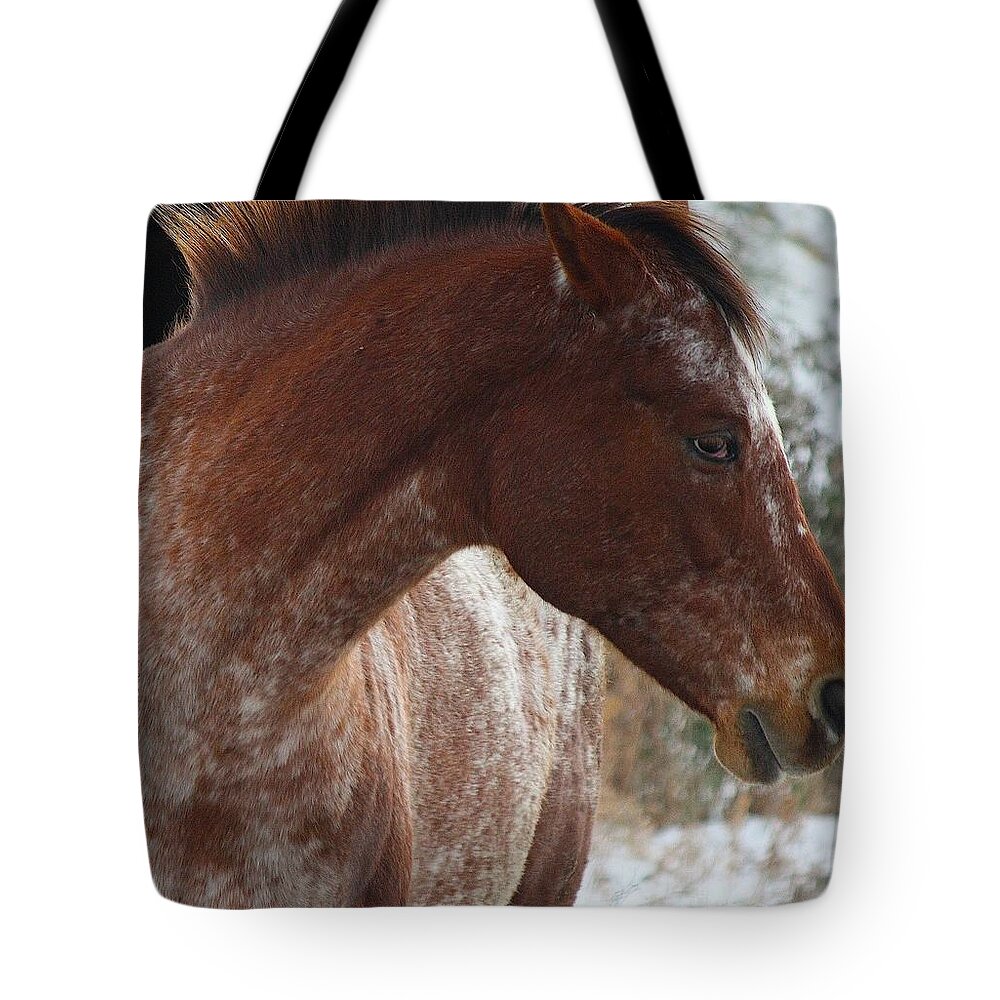 Horses Tote Bag featuring the photograph Paint by Veronica Batterson