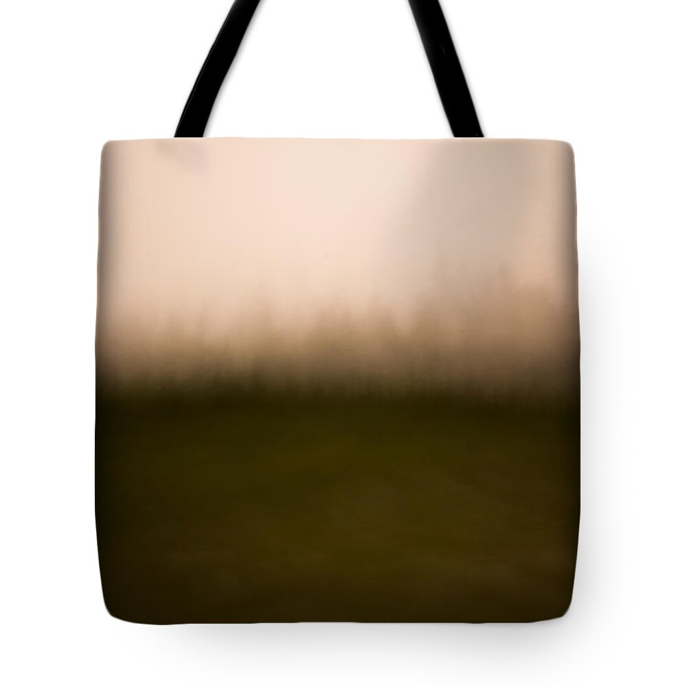 Dolly Sods Tote Bag featuring the photograph Painted Dolly Sods by Shane Holsclaw