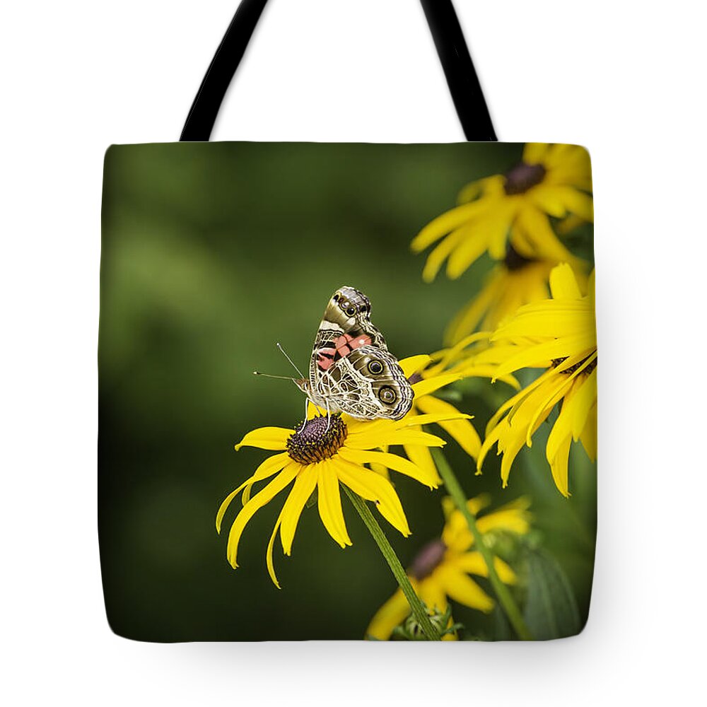Painted Lady Butterfly Tote Bag featuring the photograph Painted Lady by Thomas Young