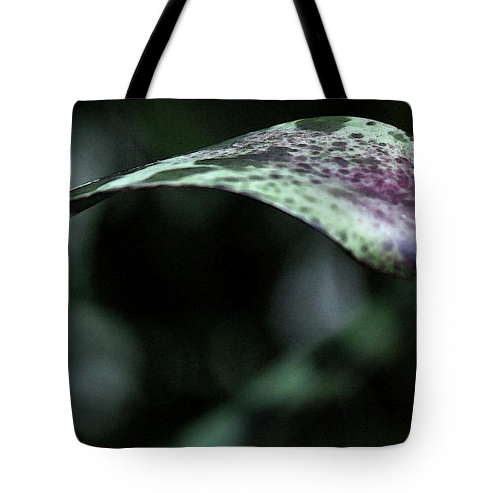 Leaf Tote Bag featuring the photograph Painted Shades of Green - 3 by Linda Shafer