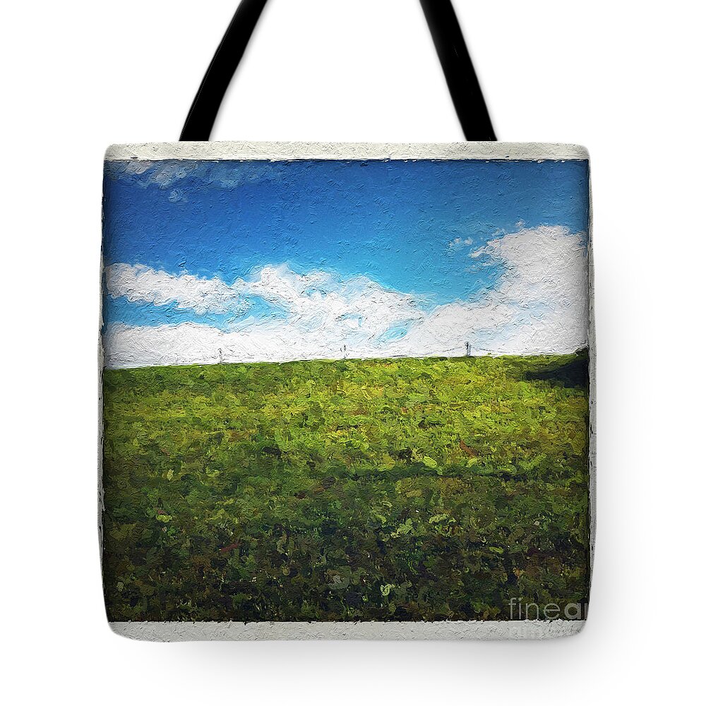 Grass Tote Bag featuring the painting Painted Sky by Linda Woods