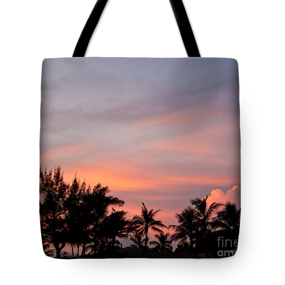 Painted Tropical Sky Tote Bag featuring the photograph Painted Tropical Sky by Michelle Constantine