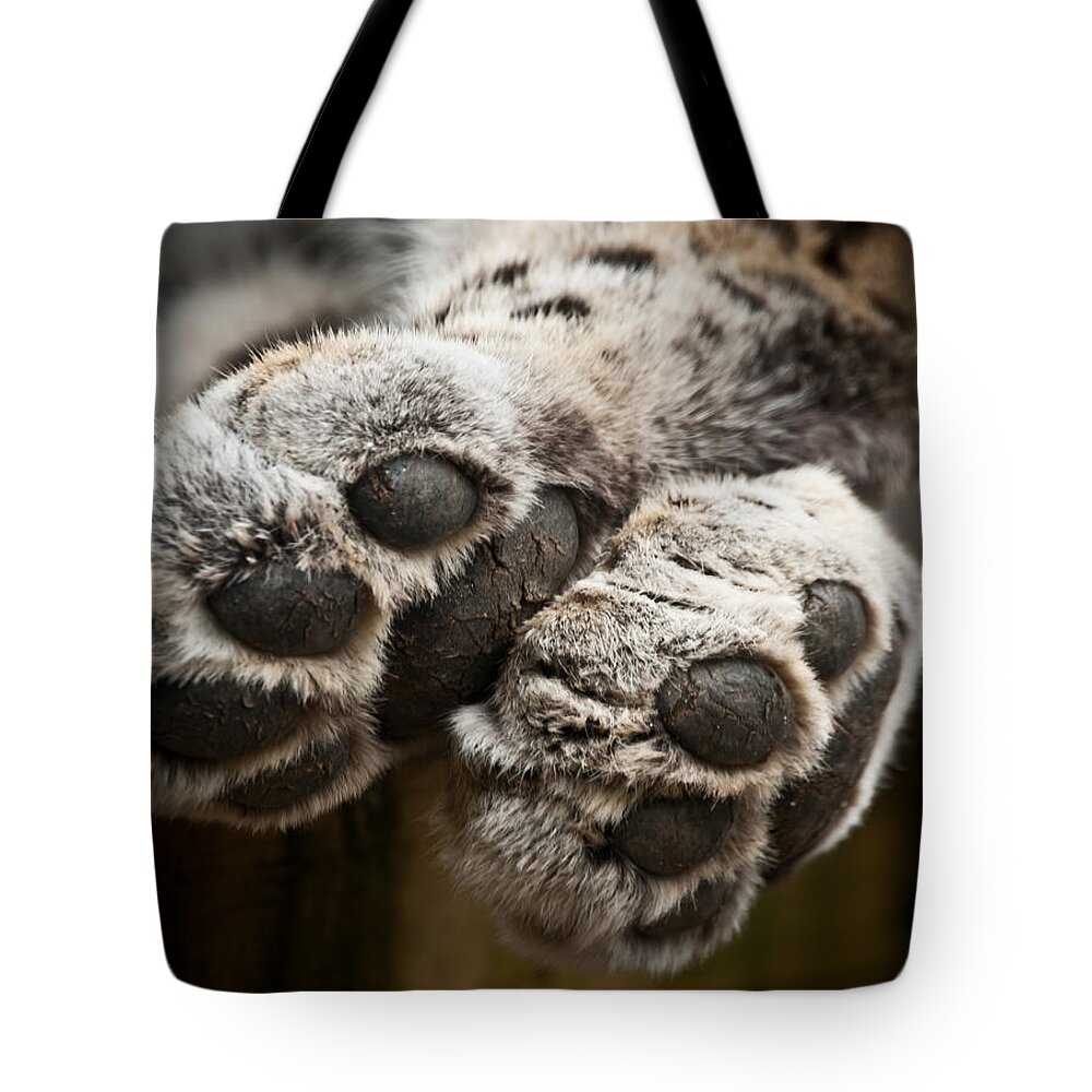 Marwell Tote Bag featuring the photograph Pair of Paws by Chris Boulton