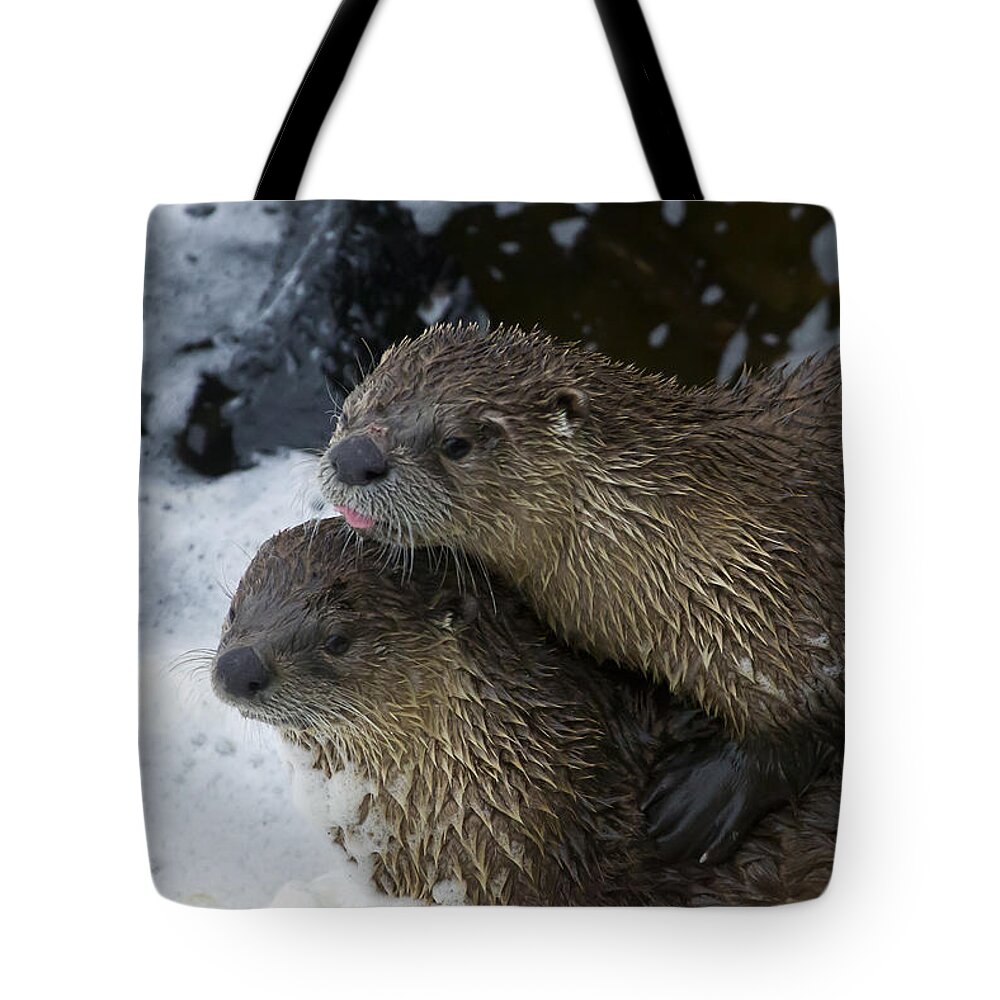Otter Tote Bag featuring the photograph Pair Of River Otters  #1301 by J L Woody Wooden